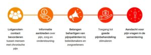 De Vlaamse Pijnliga focust haar werking op vijf domeinen: Lotgenotencontact bevorderen tussen mensen met chronische pijn Informatie aanbieden over pijn, zorg en ondersteuning Belangen behartigen van pijnpatiënten bij beleidsmakers en zorgverleners Toegang tot goede pijnbehandeling stimuleren Aandacht voor pijn vragen in de samenleving